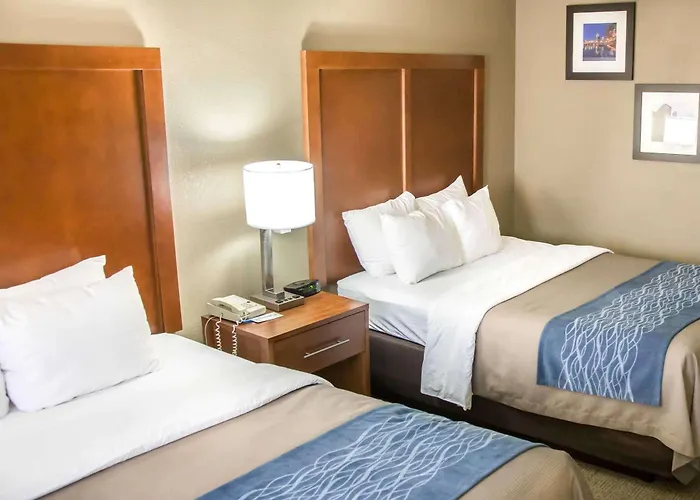 Comfort Near Six Flags Inn 4*