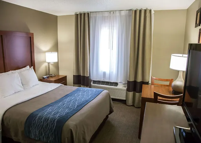 Comfort Near Six Flags Inn Gurnee