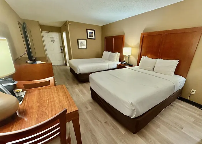 Comfort Near Six Flags Inn 4*