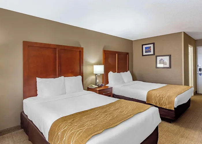 Comfort Near Six Flags Gurnee