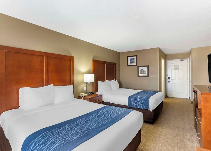 Comfort Near Six Flags Gurnee