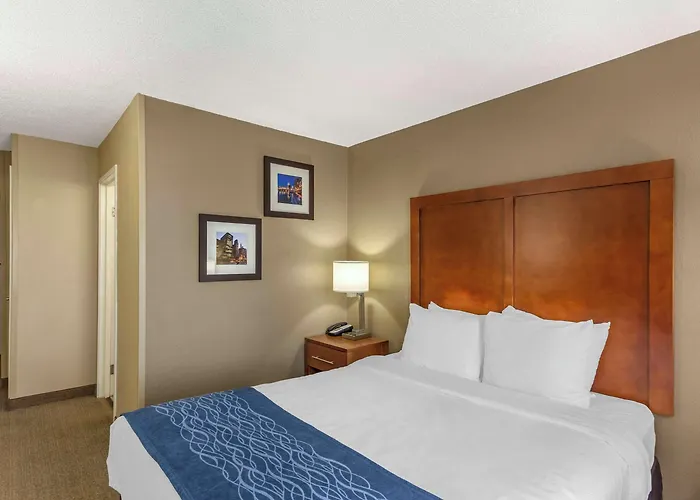 Inn Comfort Near Six Flags